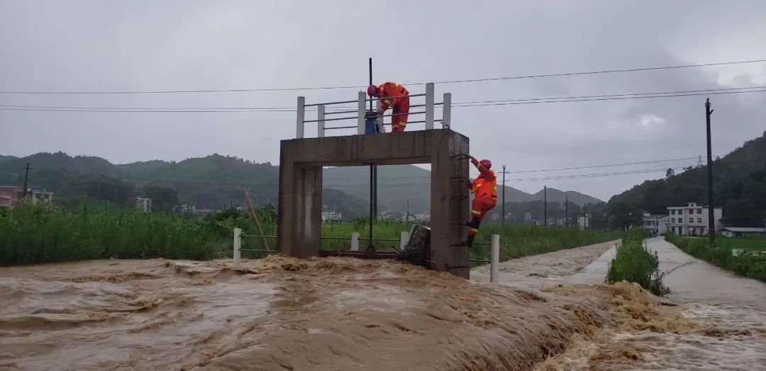 直击萍城抗洪一线：风雨中我们同舟共济 众志成城