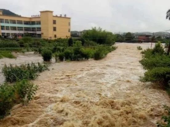 直击萍城抗洪一线：风雨中我们同舟共济 众志成城